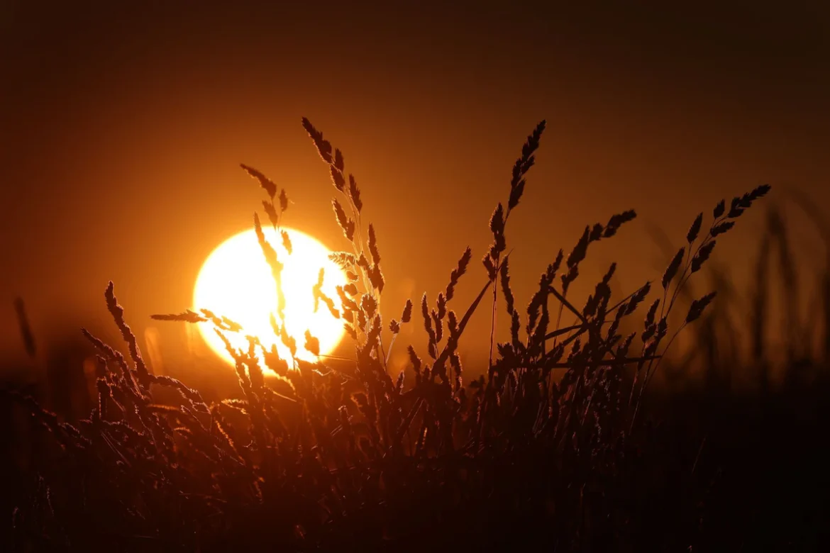 Weather – the heat continues – will the peak be reached? - Bavaria 