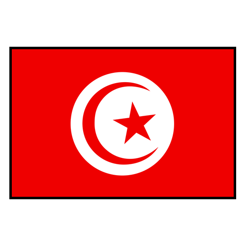 Tunisian flag