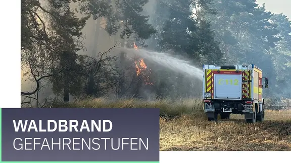 A fire truck extinguishes trees in the forest from the field. Plus inscription 