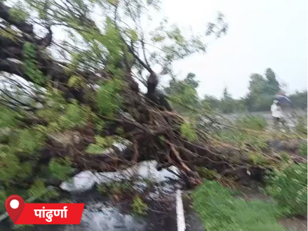 1782834637 340 Monsoon rainfall photo update Mumbai MP UP Rajasthan IMD Rain