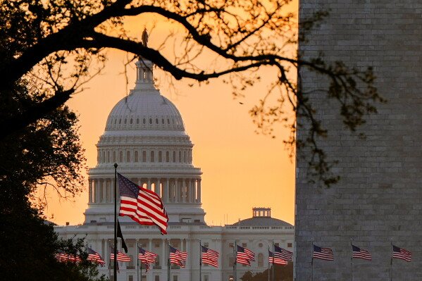 The AP-NORC poll shows differing views on what the American flag means. 12 American flags fly in front of the US Capitol at dawn on October 1, 2025 in Washington. (AP Photo/Julia Demari Nihinson, File)