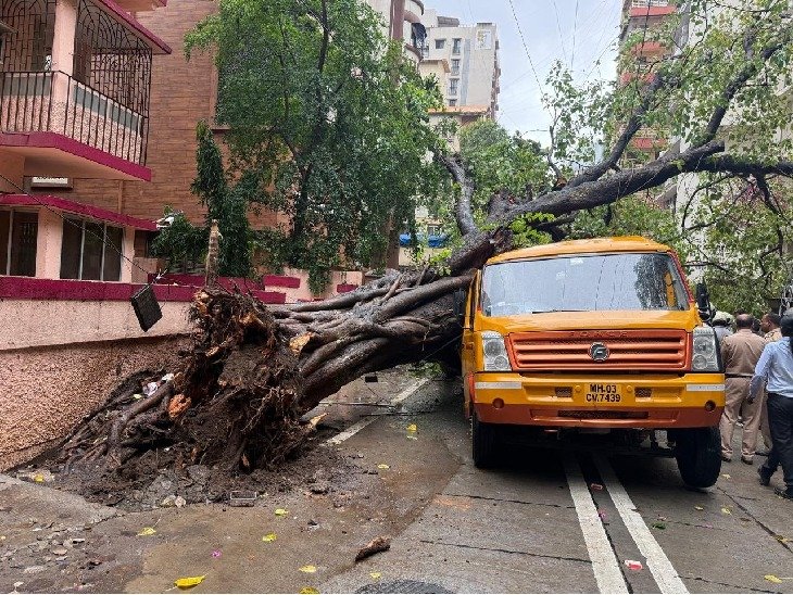 An old tree fell on a school van due to rain in Chembur, Mumbai on Tuesday. As a result, 10 children were injured.