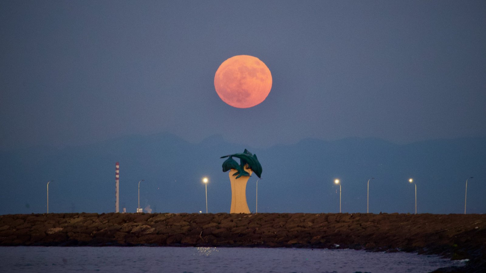 June's Strawberry Moon will be a welcome treat for skywatchers around the world. Here are our favorite photos 30 a large pink moon rises above a dolphin sculpture next to a large body of water.
