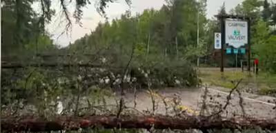 (IN IMAGES) Severe storms in Saguenay-Lac-Saint-Jean: dozens of uprooted trees and downed poles 15 Severe storms in Lac-Saint-Jean: dozens of trees uprooted, July 2, 2026