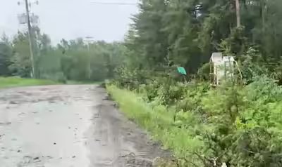 (IN IMAGES) Severe storms in Saguenay-Lac-Saint-Jean: dozens of uprooted trees and downed poles 17 Severe storms in Lac-Saint-Jean: dozens of trees uprooted, July 2, 2026
