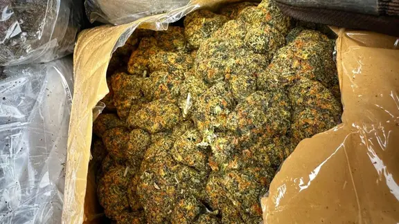 The drug was disguised as a building material. | Handout / Berlin/Customs Investigation Office Hannover/dpa Investigators seized marijuana.
