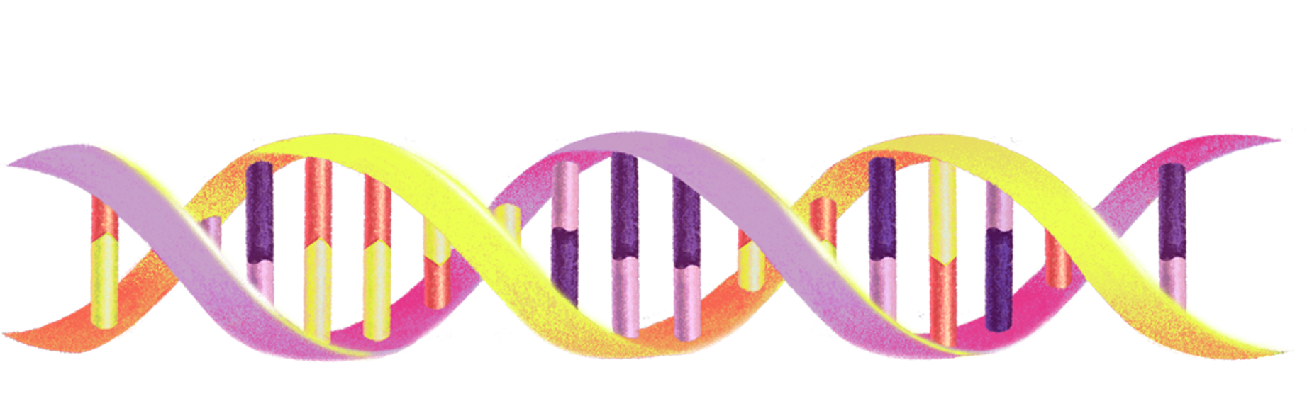 1783107010 331 For the first time a cell built from scratch grows