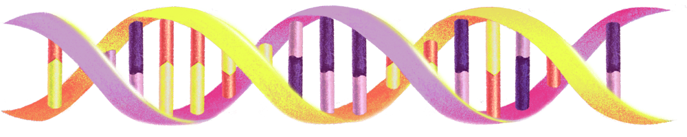 1783107010 494 For the first time a cell built from scratch grows