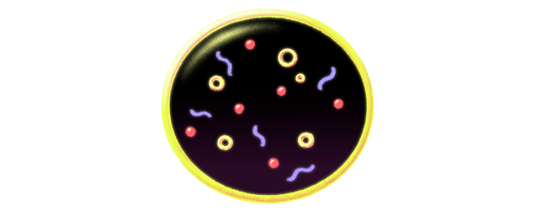 1783107010 543 For the first time a cell built from scratch grows