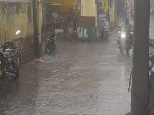 Rajasthan Rain Alert: Heavy showers in South Rajasthan 19 It started raining in Sawai Madhopur around 10 am on Sunday, making the weather pleasant.