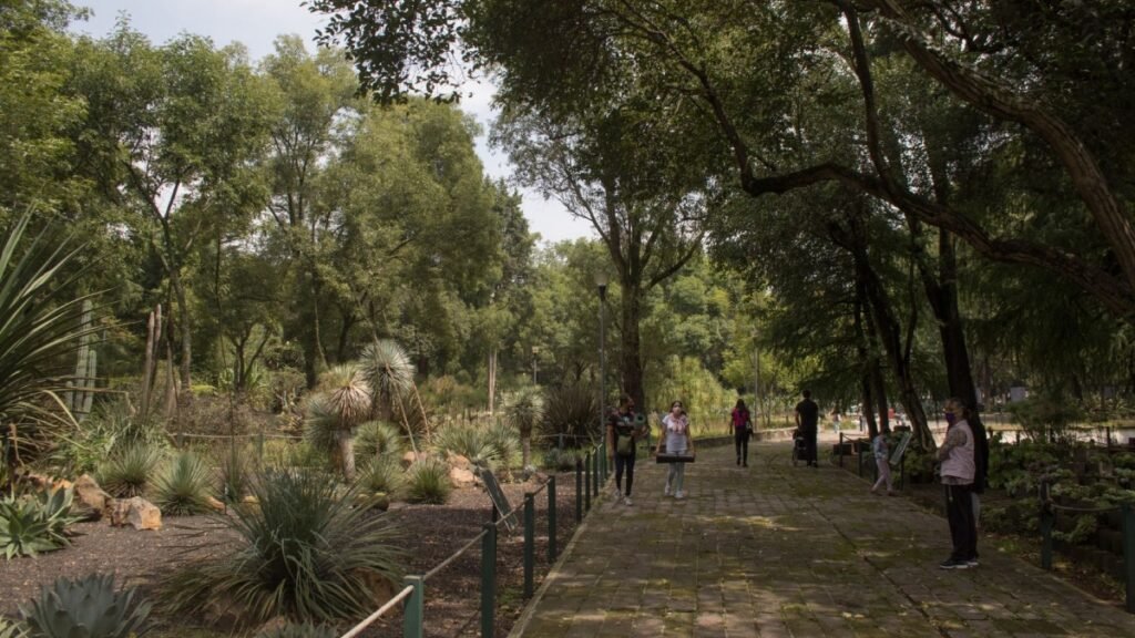 1783501221 888 Chapultepec will host a mushroom tour and photo shoot with