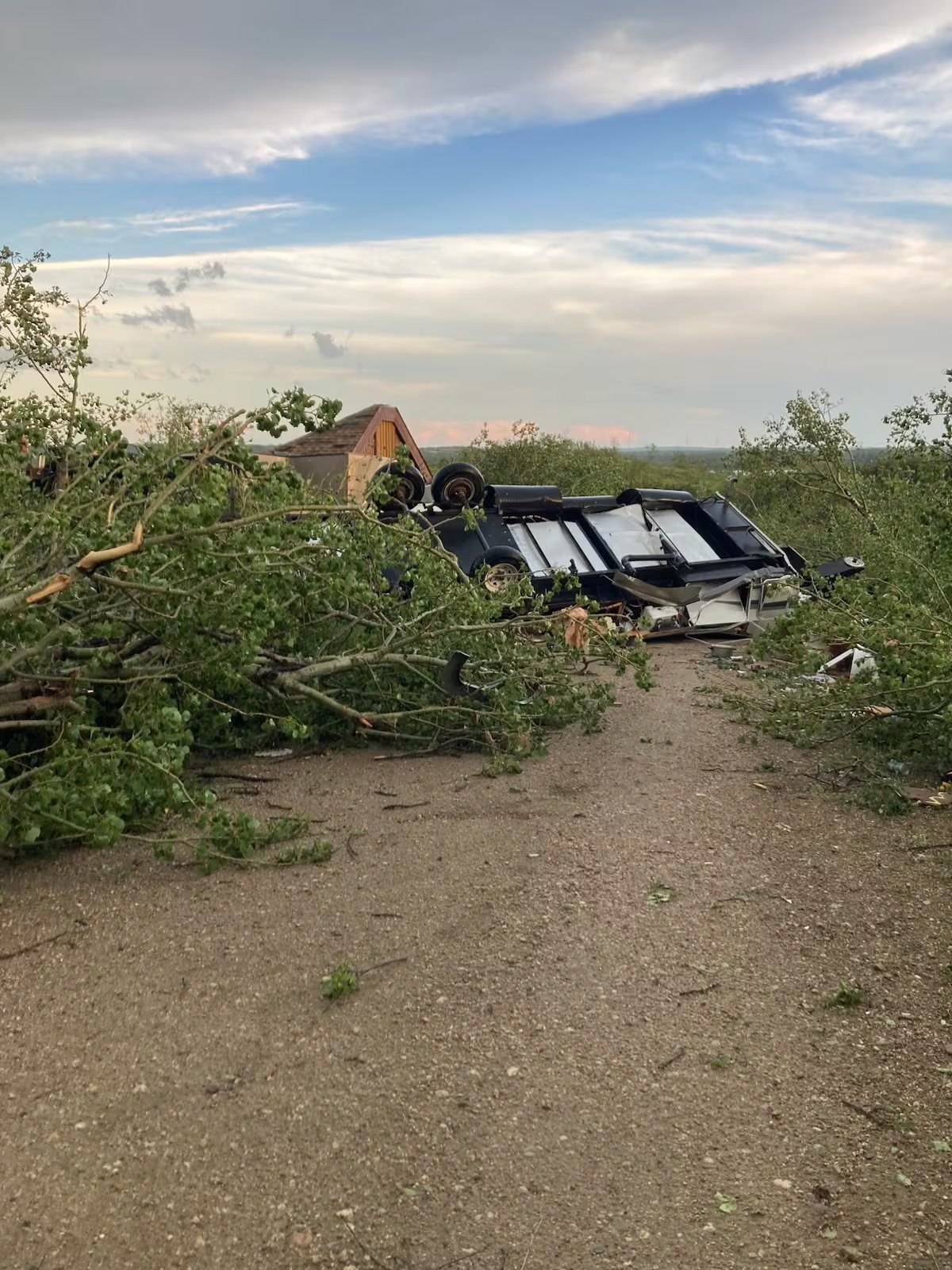 The trailer's undercarriage overturned in a field filled with downed trees.