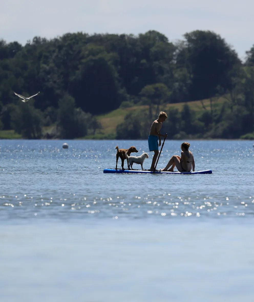 Swimming day with dogs on Thursday on the Holnis Peninsula in the Baltic Sea.