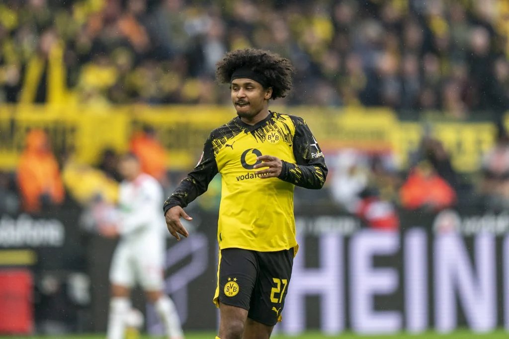 Karim Adeyemi, Borussia Dortmund player
