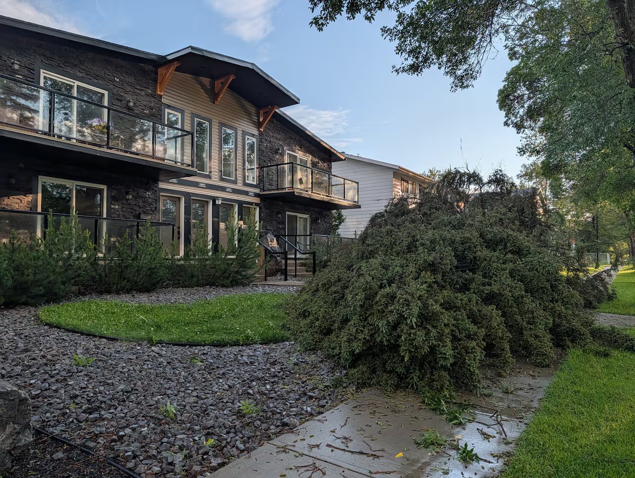 a tree fell on someone's lawn