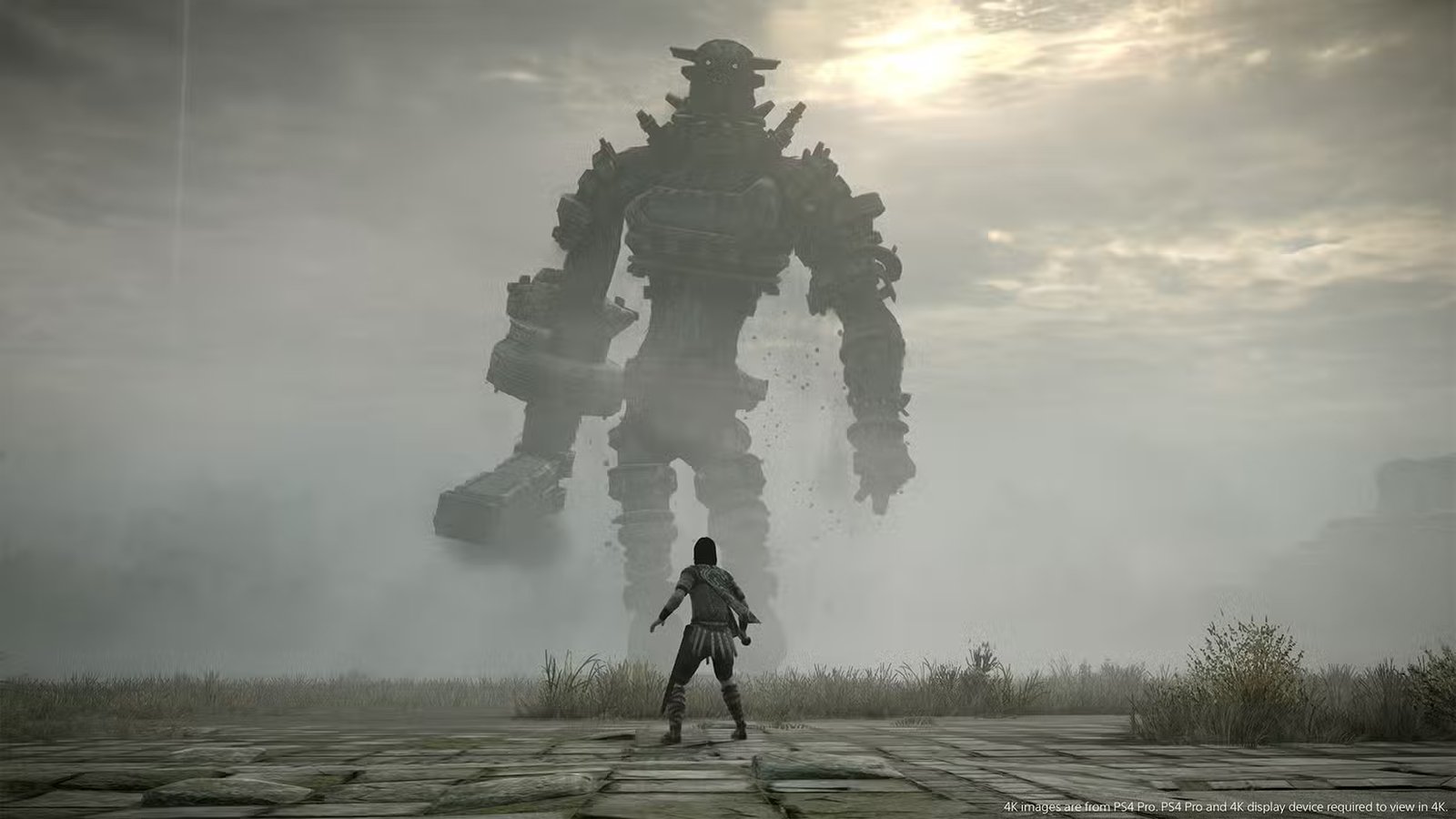 Shadow of the Colossus PS4 - Wonder looks at Guy, the third colossus