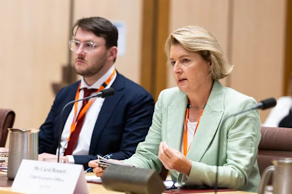 Carol Bennett, Executive Director of the Australian Communications Action Network.