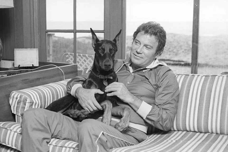 A new young photo of a Star Trek legend on the seaside has fans wondering 16 William Shatner's love of dogs goes back many decades.