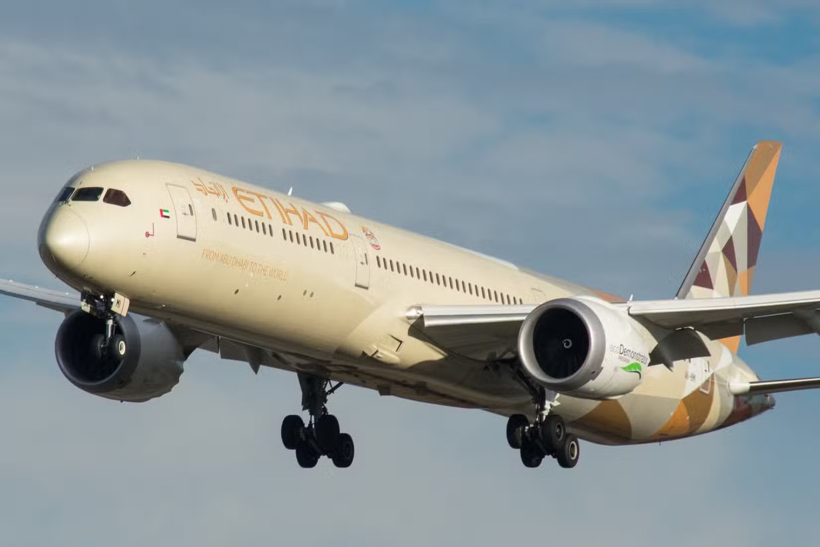 Etihad 787 in flight