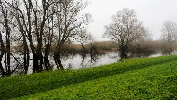 The Elbe spills near Blekkede, clouds and silhouettes of trees from the shore are reflected in the water.