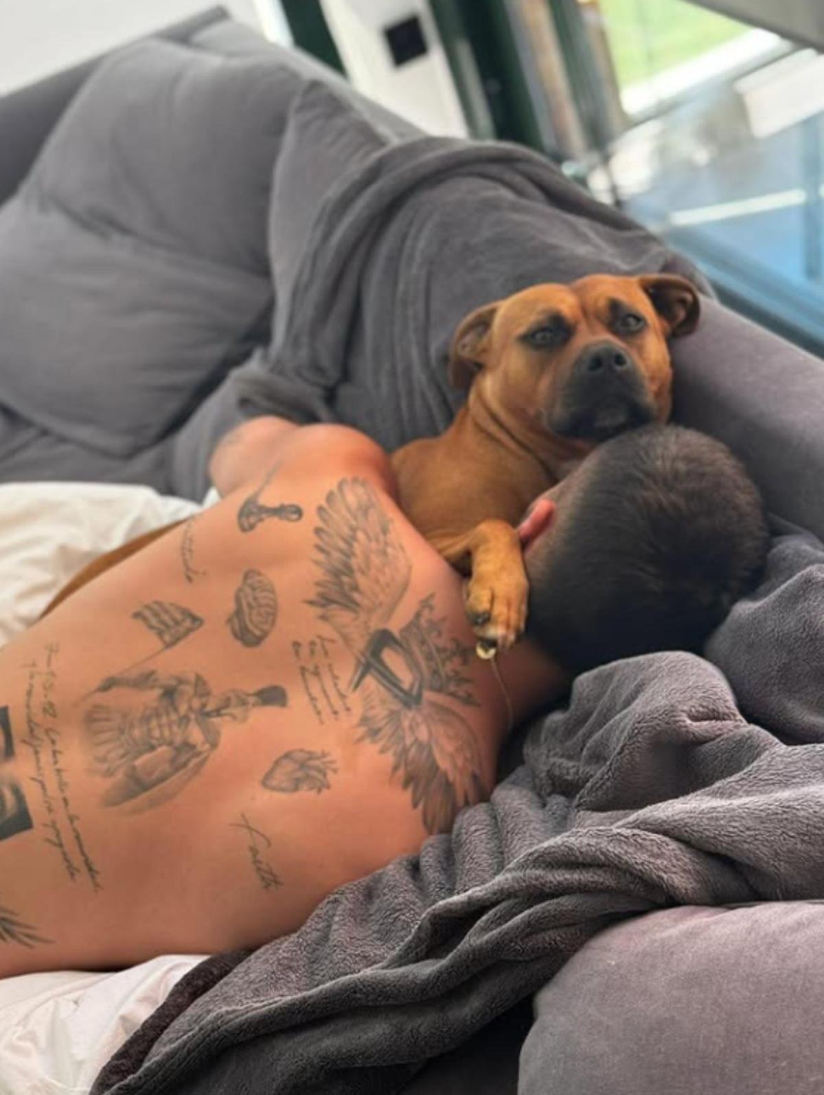 We entered the home of Ferran Torres (26 years old) in Gava: a very luxurious Mediterranean-style chalet and a gated pool (in the water) 16 Ferran Torres and his dog relax on the sofa in the living room of their home.