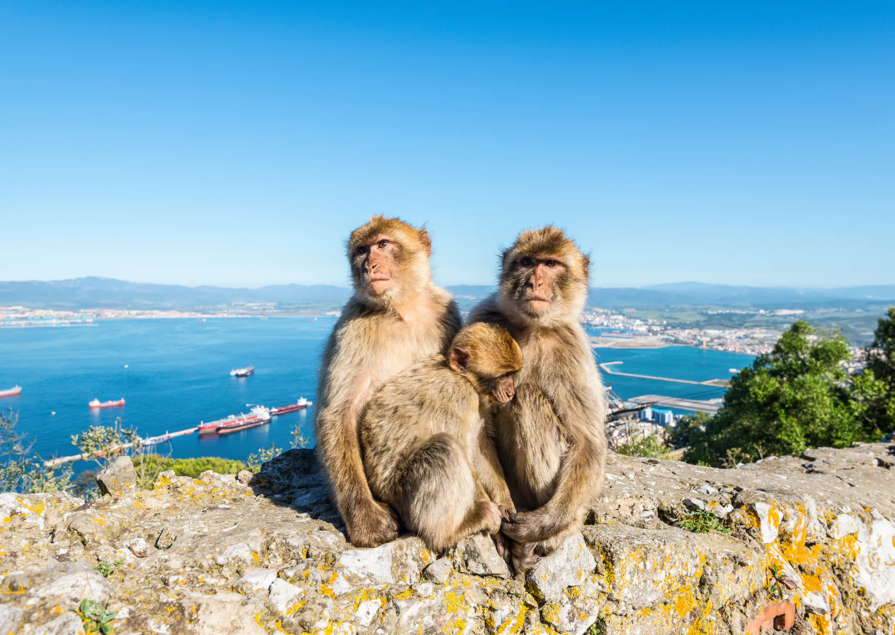 Historical change. “This should have been dealt with a long time ago.” 29 The ubiquitous monkeys in the area are one of the biggest attractions.