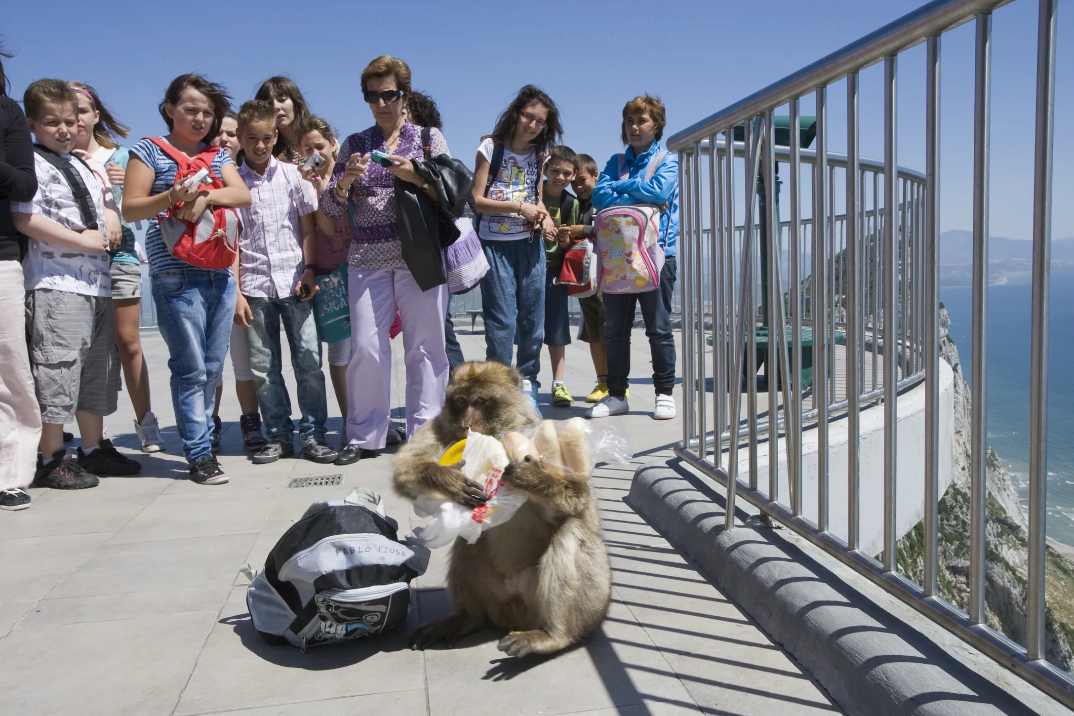 Historical change. “This should have been dealt with a long time ago.” 28 Monkeys, although cute, can annoy tourists