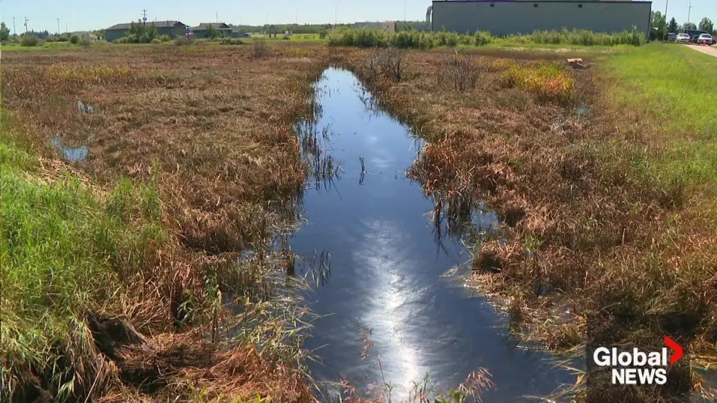 Click to watch video: What Rain Means for Alberta's Watersheds