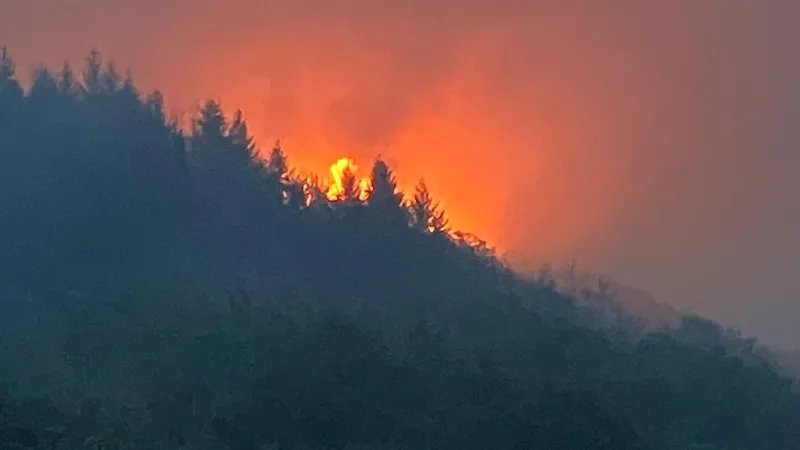 Forest fire in Morvan: 110 firefighters, 2 helicopters and reinforcements mobilized 14 On the night of Wednesday to Thursday, July 16, the fire has still not been localized.