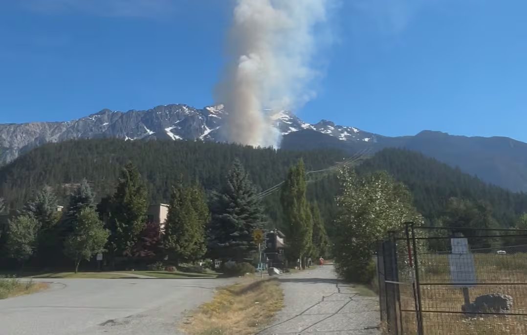 Smoke rises into the blue sky over a forested area.