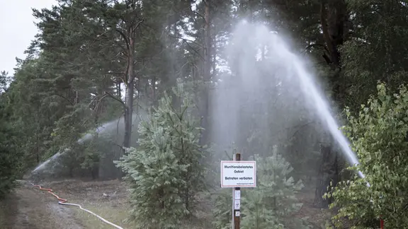 Sprinklers in the forest are designed to moisten the ground and prevent the spread of fire.