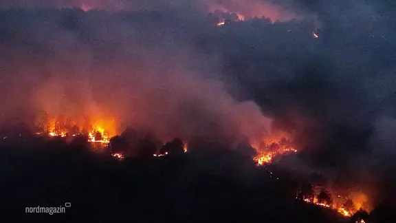 Forest fire in Müritz National Park, aerial view.