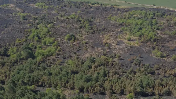 Part of the burned area near Neustrelitz.