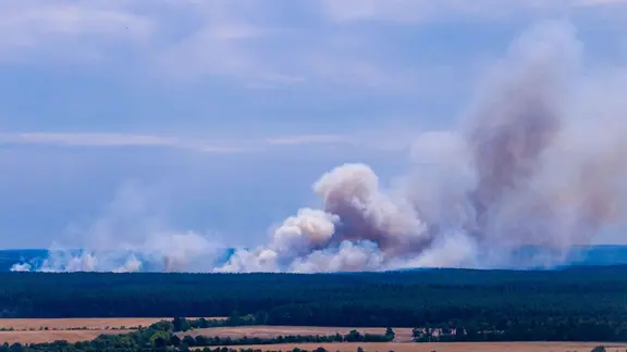 Clouds of smoke float over forests in the Müritz National Park (aerial view from a drone).
