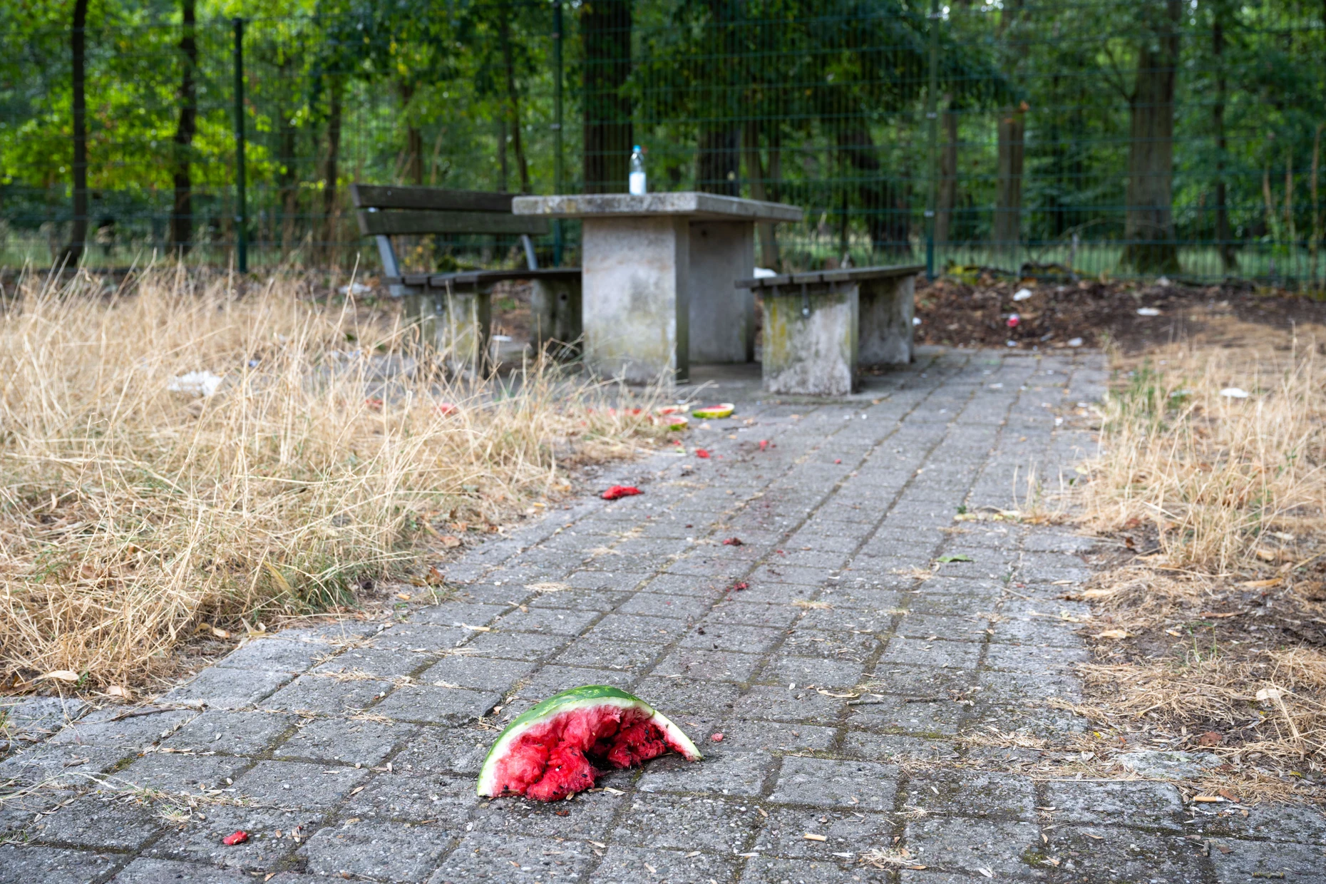 Garbage and half-eaten watermelons lie in front of the recreation area at the Am Stadtwald recreation area.