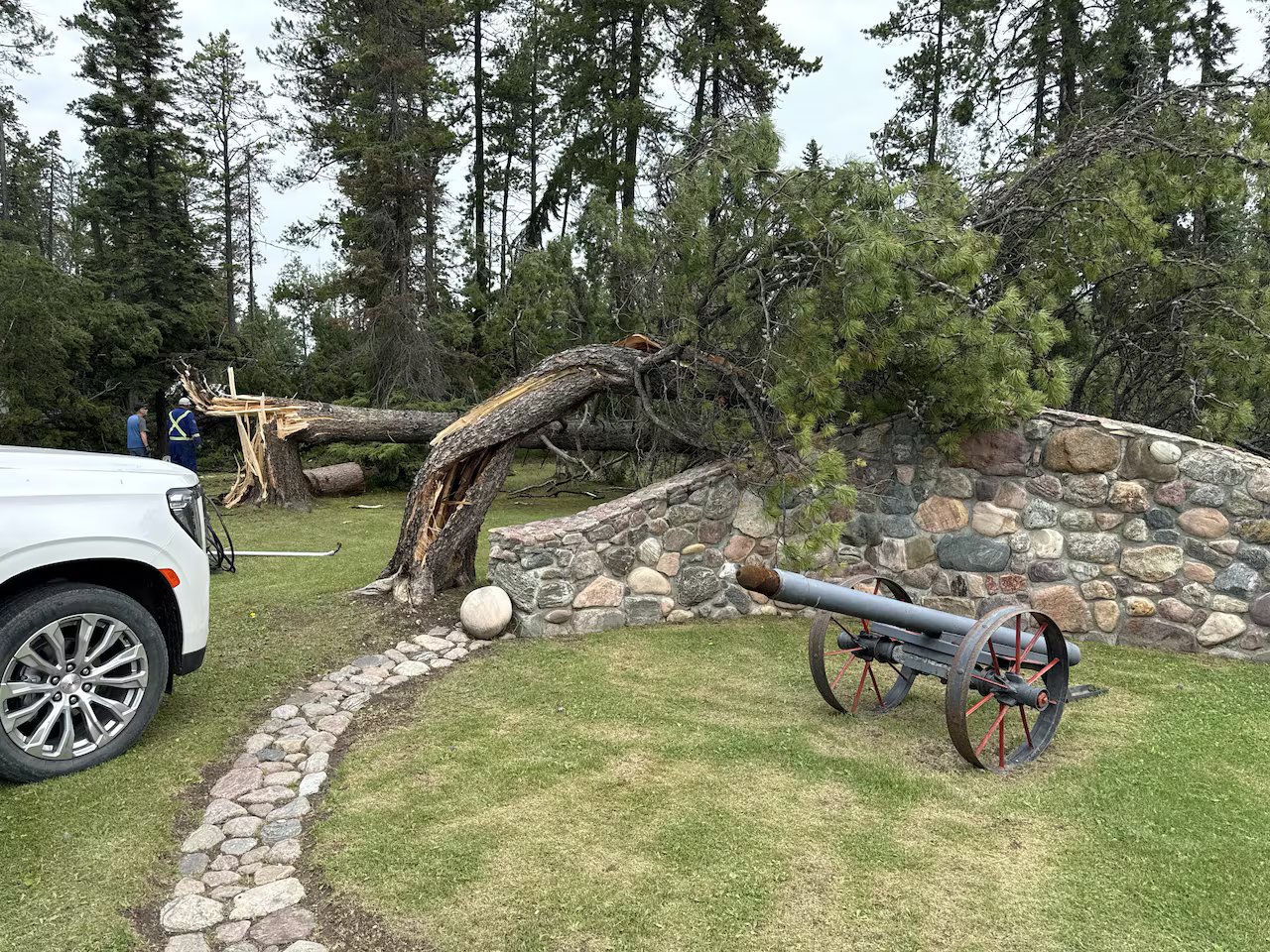 A backyard with two broken trees is shown.