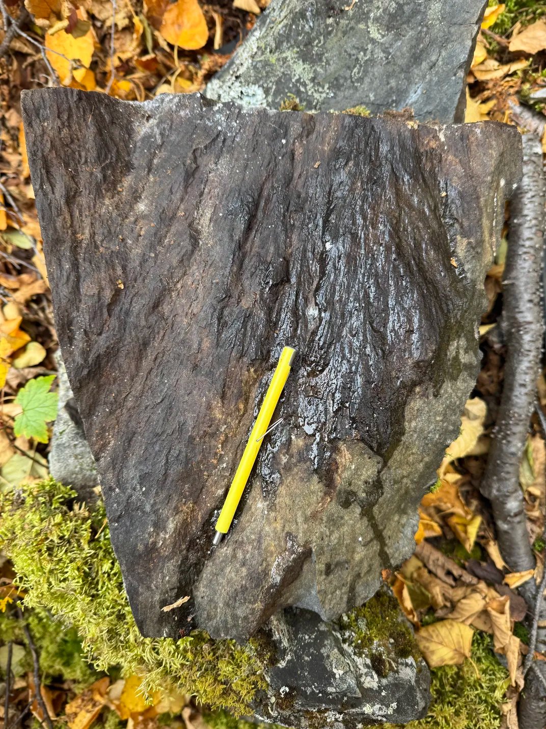 An amateur astronomer using Google Maps noticed a strange depression. It turned out to be a meteorite crater formed 390 million years ago 17 stone with yellow tool