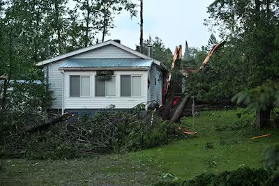 Numerous trees were downed Tuesday night in Harrington, Laurentians. Photo taken on Route 327.
