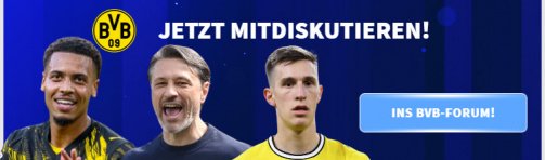 BVB: This is what sports director Buk says about the search for strikers 11 © tm/imago - Join the BVB discussion here - link to the club forum.