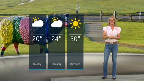 NDR Schleswig-Holstein presenter Maike von der Goltz in the studio with the weather forecast.
