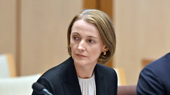 Telstra chief executive Vicky Brady admitted the company had received warnings about the device causing the error.