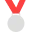 yes-2024-medal-silver