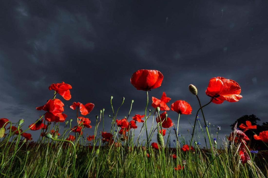 News Topics of the week KW22 News Photos of the day Rainy weather and danger of bad weather DEU/Germany/Brandenburg/Leuthen, 30. NRW WEtter