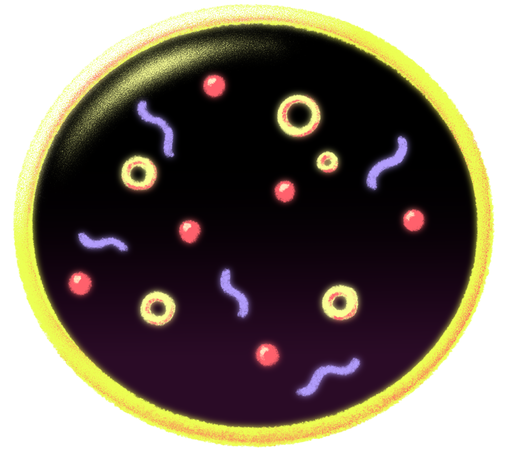 For the first time a cell built from scratch grows
