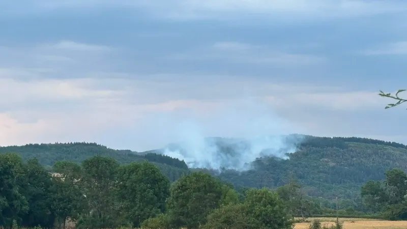 Forest fire in Morvan: 110 firefighters, 2 helicopters and reinforcements mobilized 13 Fire at the Grande Verrière Hotel on Wednesday, July 15, 2026.