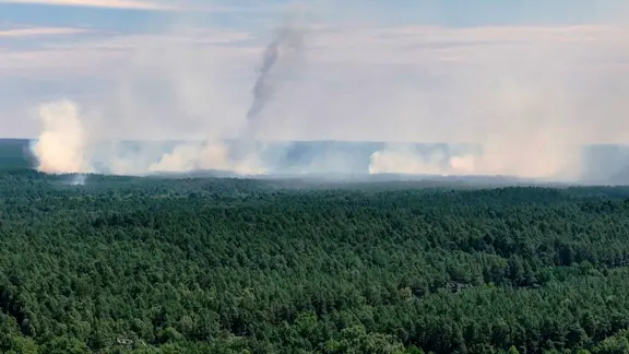Forest fire in the Müritz National Park.
