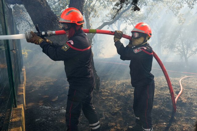 Firefighters in southern France battle a forest fire on July 1. 