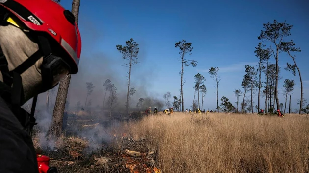 Four vegetation fires in Morbihan this Friday: 25 hectares burned in smoke 15 Firefighters from Finistère, assisted by firefighters from Morbihan, test and carry out