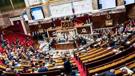 MEPs have approved a much-debated measure that would impose life sentences for serial rape of children under 15 – Franceinfo 11 Parliamentary session of the National Assembly in Paris, July 21, 2026. (XOSE BOUZAS/HANS LUCAS/AFP)
