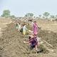 MGNREGA scrap further depletes already limited resources of Himachal Pradesh: CM Suhu 13 MGNREGA scrap further depletes already limited resources of Himachal Pradesh